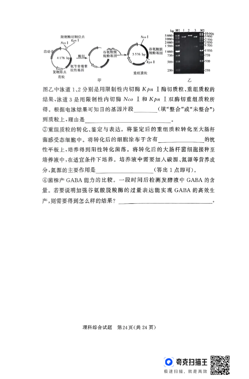 全国乙卷新课标版河南省湘豫名校联考2024届春季学期高三年级第四次模拟考试(5.15-5.16)理科综合能力测试试题+答案(1)_2024年5月_025月合集