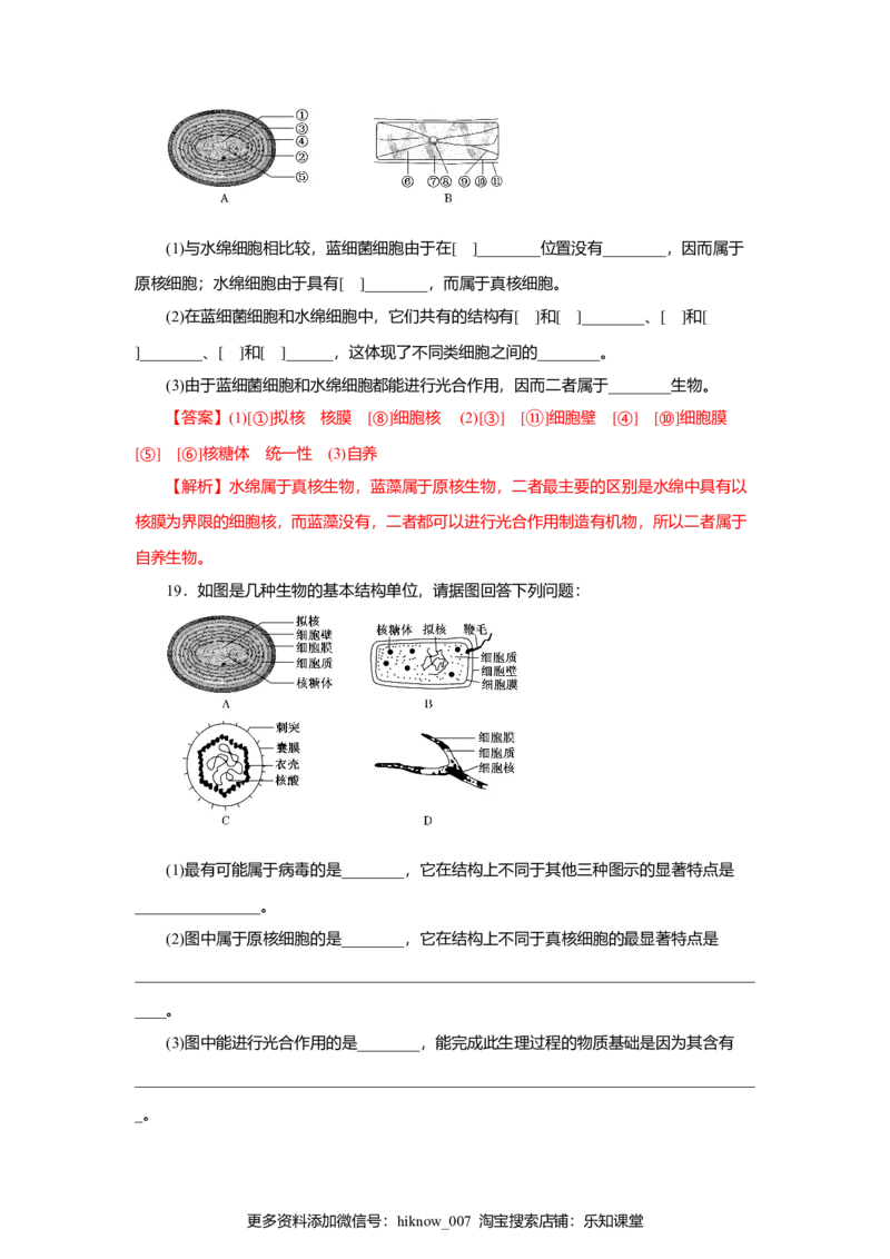 第01章走进细胞（A卷）（解析版）_E015高中全科试卷_生物试题_必修1_1.单元测试_3.单元测试（第三套）_第01章走进细胞（A卷）
