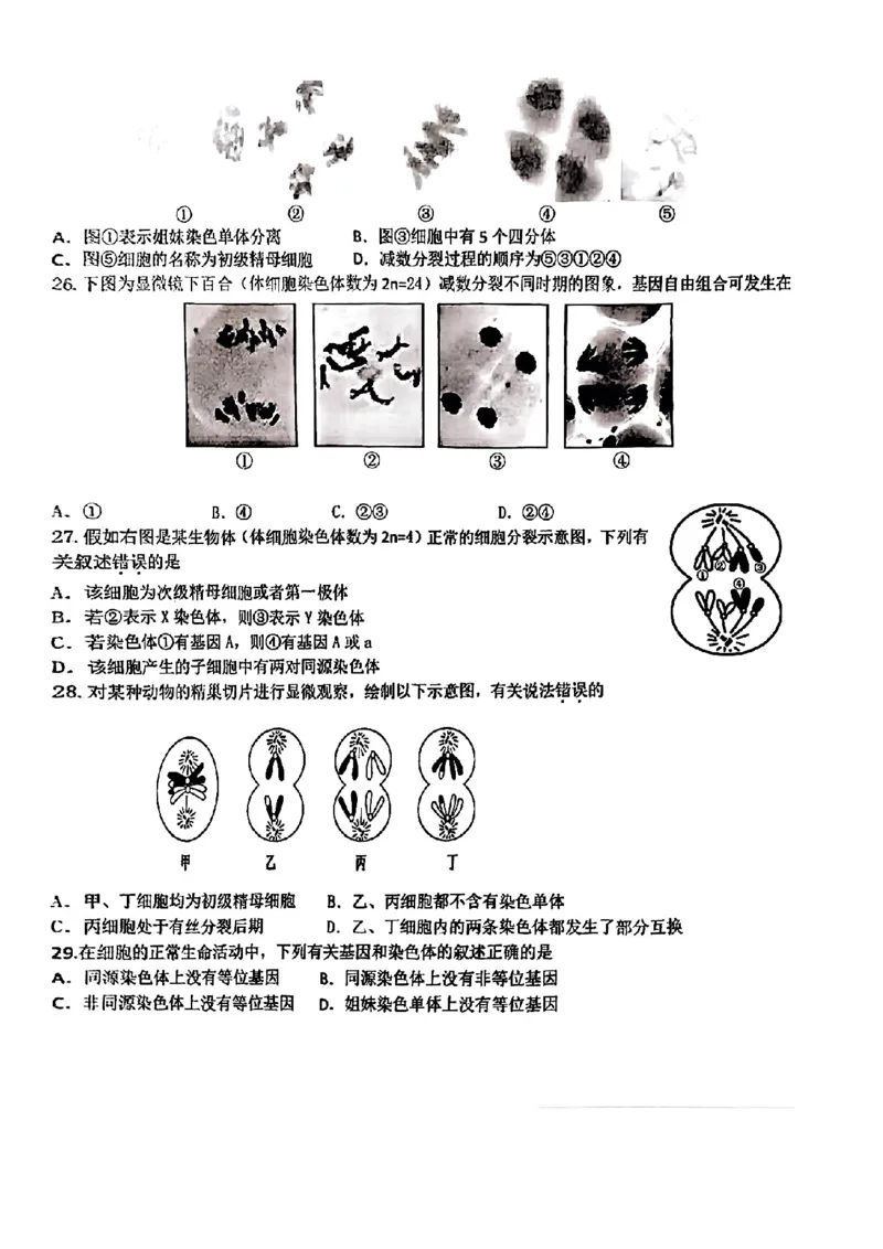北京市第五十五中学2024-2025学年高一下学期3月月考生物试卷（扫描版，含答案）_2024-2025高一（7-7月题库）_2025年04月试卷_0401北京市第五十五中学2024-2025学年高一下学期3月月考