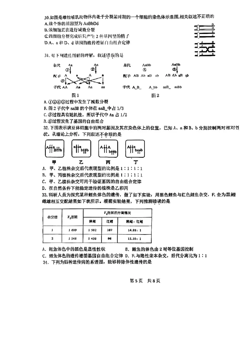 北京市第五十五中学2024-2025学年高一下学期3月月考生物试卷（扫描版，含答案）_2024-2025高一（7-7月题库）_2025年04月试卷_0401北京市第五十五中学2024-2025学年高一下学期3月月考