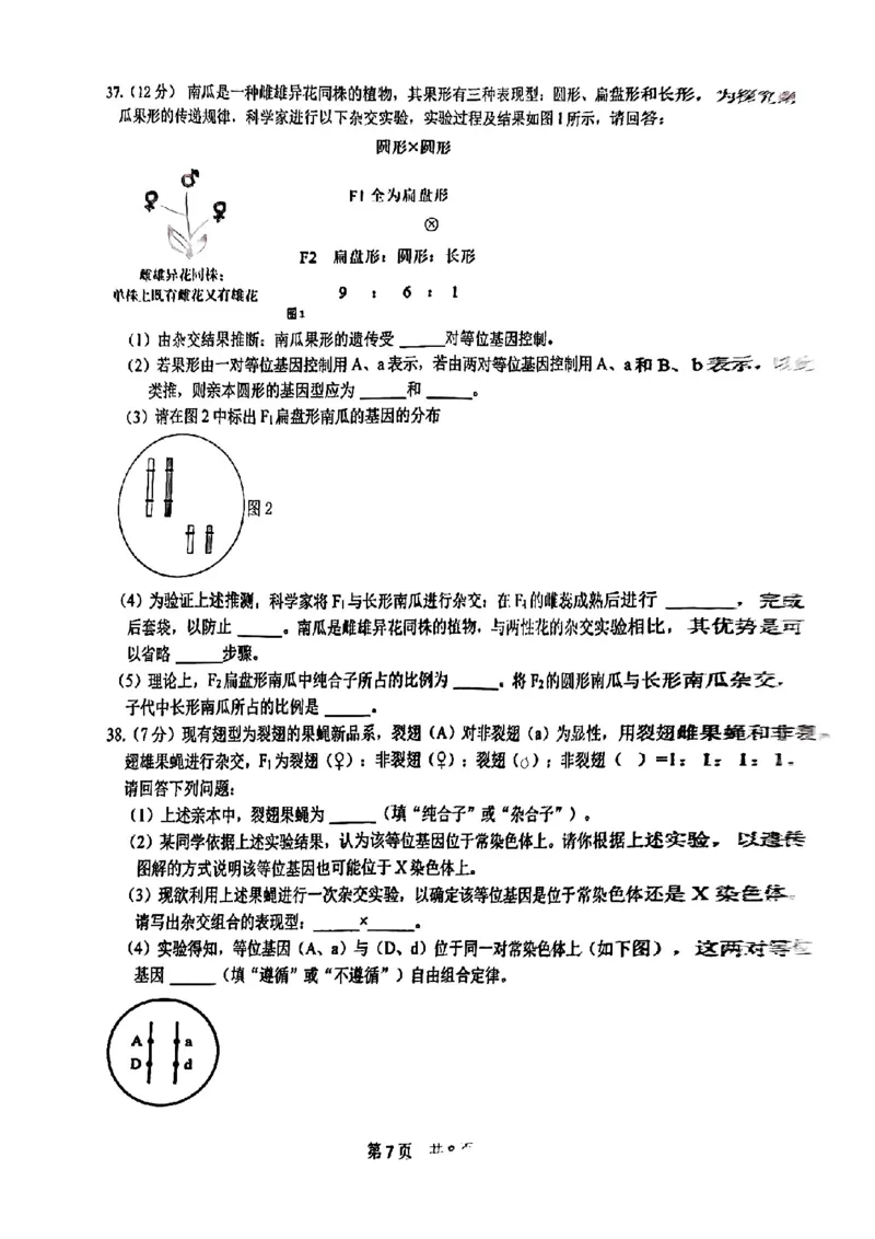 北京市第五十五中学2024-2025学年高一下学期3月月考生物试卷（扫描版，含答案）_2024-2025高一（7-7月题库）_2025年04月试卷_0401北京市第五十五中学2024-2025学年高一下学期3月月考