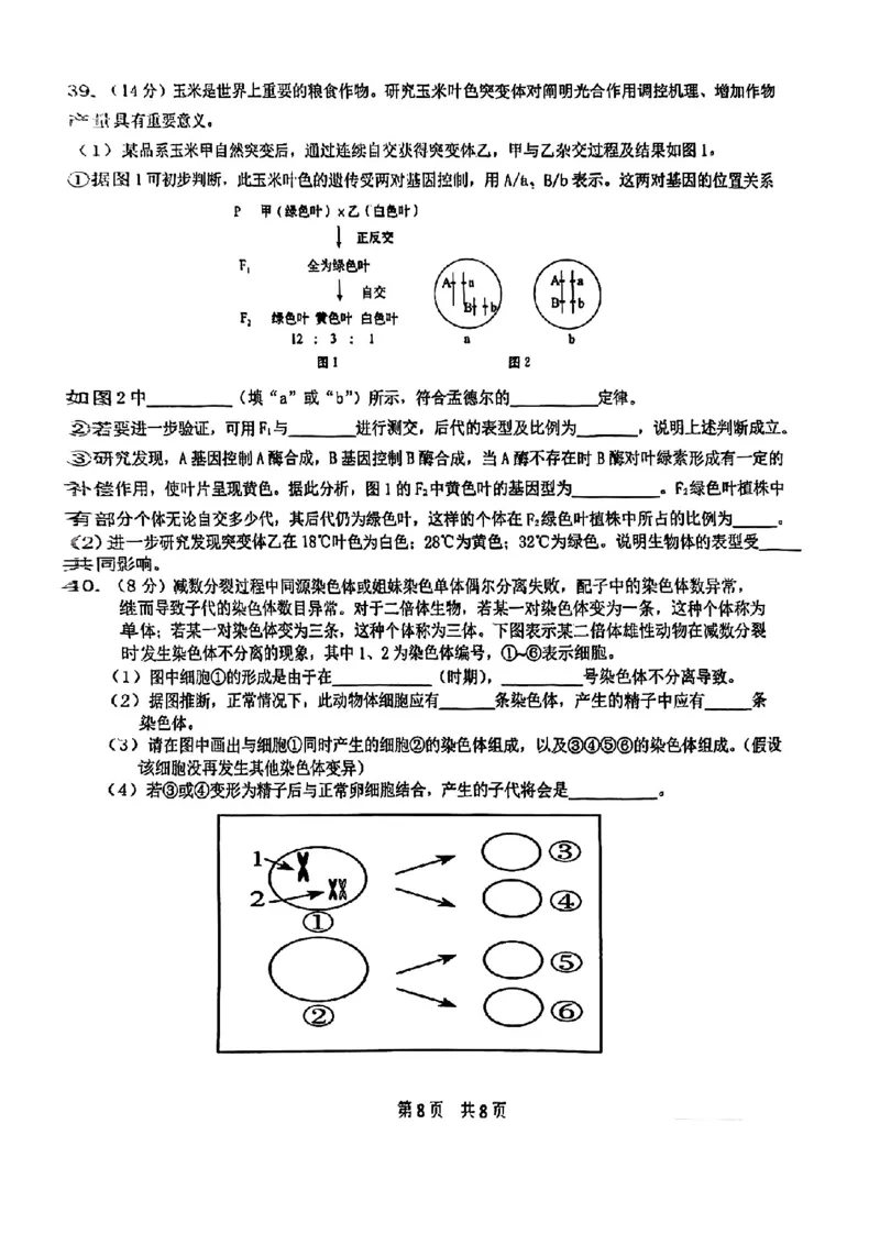 北京市第五十五中学2024-2025学年高一下学期3月月考生物试卷（扫描版，含答案）_2024-2025高一（7-7月题库）_2025年04月试卷_0401北京市第五十五中学2024-2025学年高一下学期3月月考
