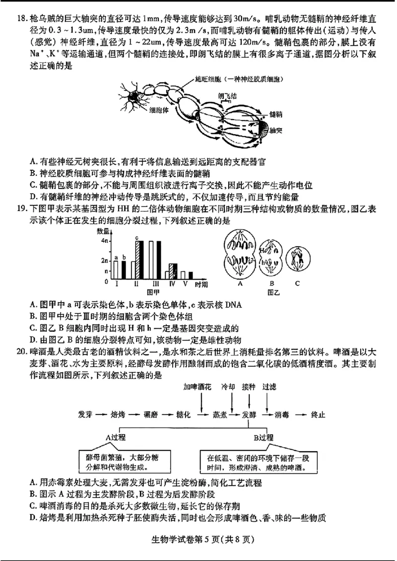 三省三校三模-生物(1)_2024年5月_025月合集_2024届东北三省三校高三下学期第三次联合模拟考试