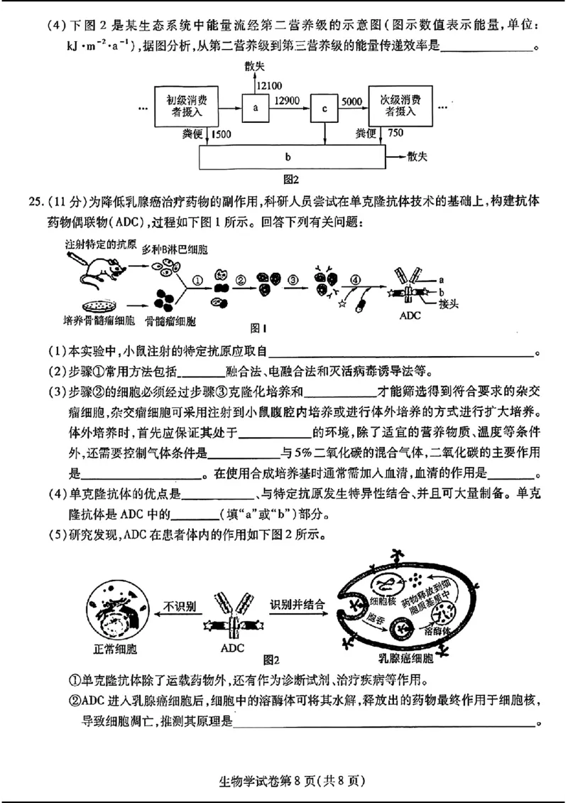 三省三校三模-生物(1)_2024年5月_025月合集_2024届东北三省三校高三下学期第三次联合模拟考试