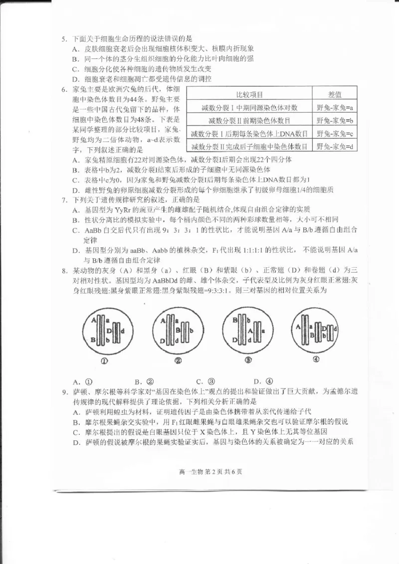 江西省上饶市2024-2025学年高一下学期期末考试生物PDF版含解析_2024-2025高一（7-7月题库）_2025年7月_250717江西省上饶市2024-2025学年高一下学期期末考试（全科）