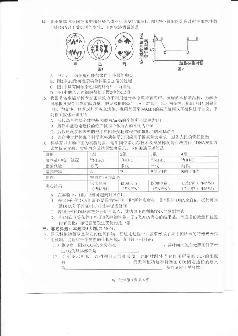 江西省上饶市2024-2025学年高一下学期期末考试生物PDF版含解析_2024-2025高一（7-7月题库）_2025年7月_250717江西省上饶市2024-2025学年高一下学期期末考试（全科）
