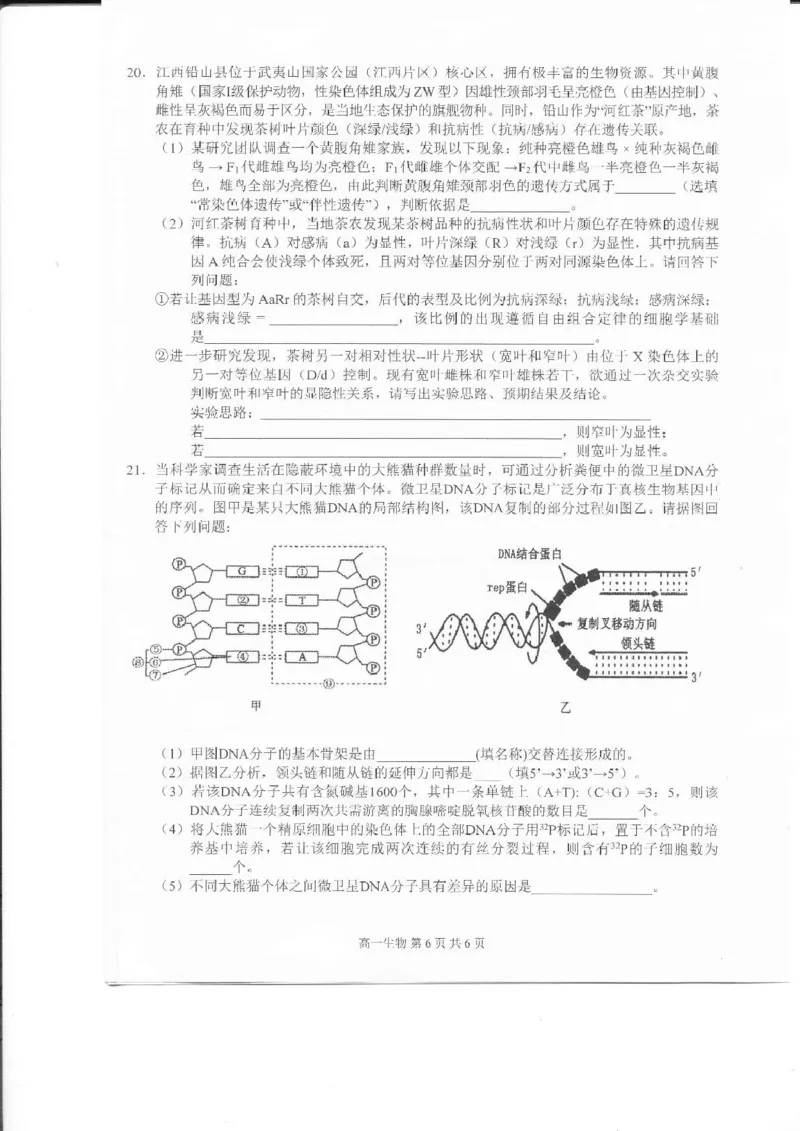 江西省上饶市2024-2025学年高一下学期期末考试生物PDF版含解析_2024-2025高一（7-7月题库）_2025年7月_250717江西省上饶市2024-2025学年高一下学期期末考试（全科）
