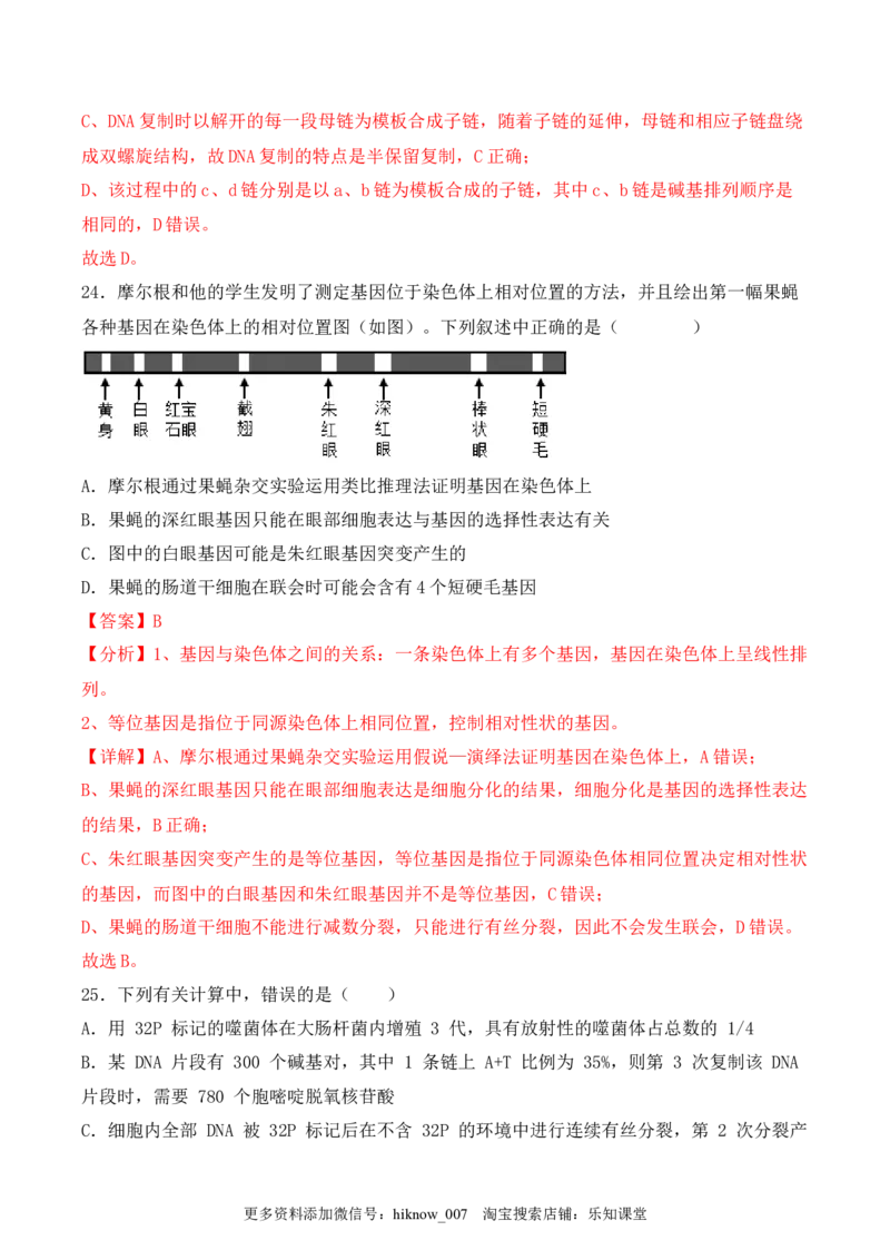 期中检测卷01（基础练）（考试范围：第1~3章）（解析版）_E015高中全科试卷_生物试题_必修2_3.期中测试