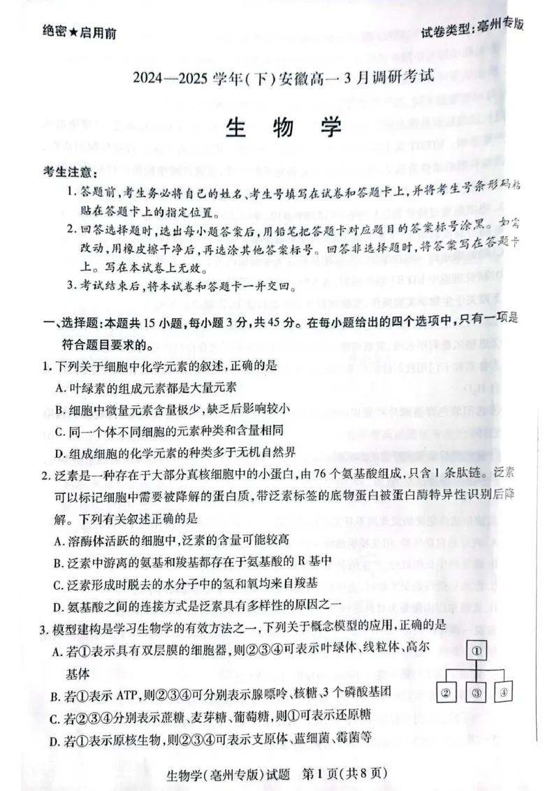 安徽省滁州市2024-2025学年高一下学期3月月考生物试题（扫描版有答案）_2024-2025高一（7-7月题库）_2025年03月试卷_0326安徽省滁州市部分学校2024-2025学年高一下学期3月月考