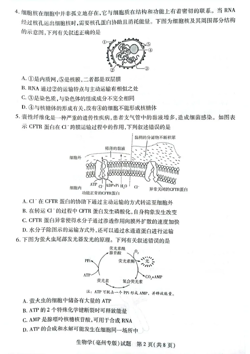 安徽省滁州市2024-2025学年高一下学期3月月考生物试题（扫描版有答案）_2024-2025高一（7-7月题库）_2025年03月试卷_0326安徽省滁州市部分学校2024-2025学年高一下学期3月月考