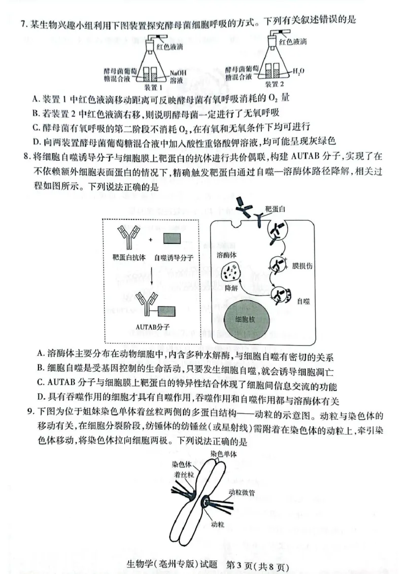 安徽省滁州市2024-2025学年高一下学期3月月考生物试题（扫描版有答案）_2024-2025高一（7-7月题库）_2025年03月试卷_0326安徽省滁州市部分学校2024-2025学年高一下学期3月月考