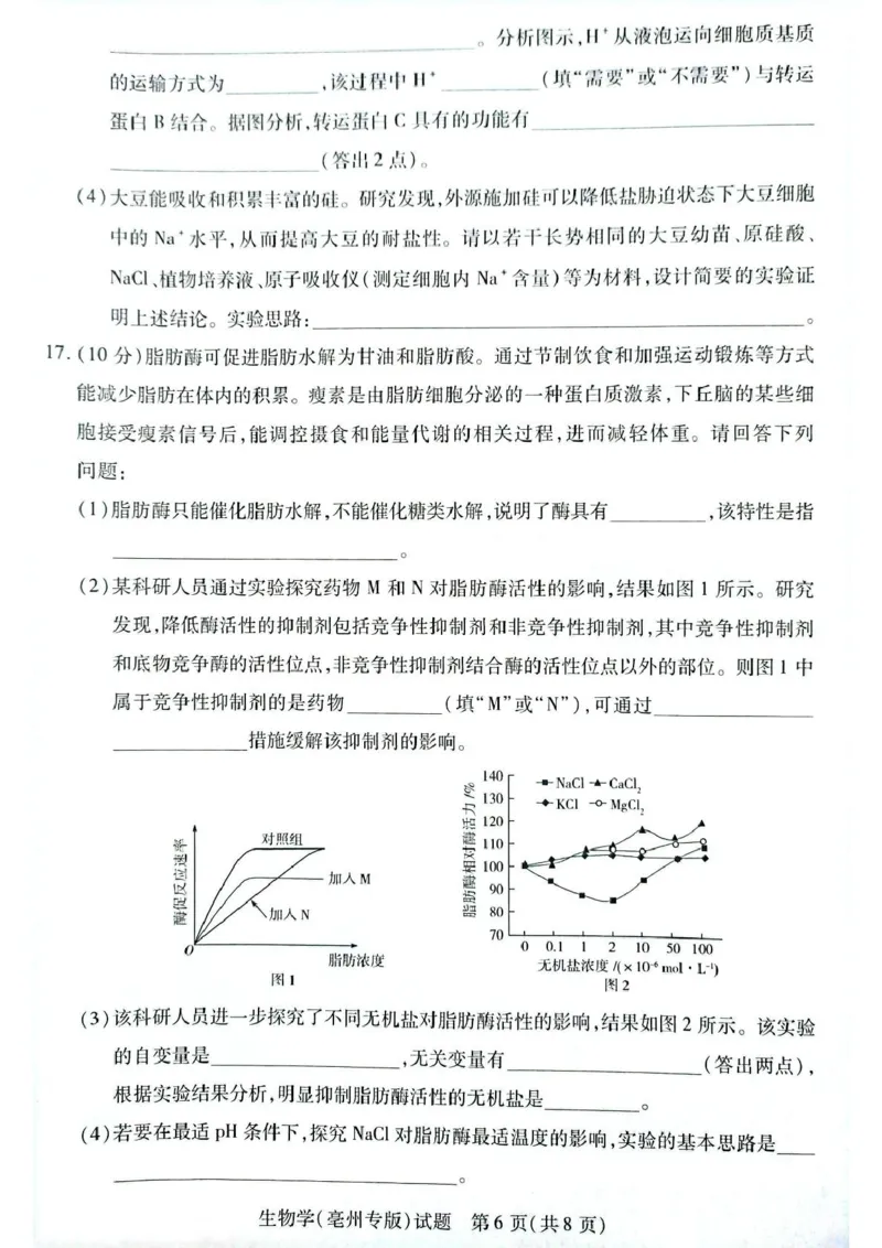 安徽省滁州市2024-2025学年高一下学期3月月考生物试题（扫描版有答案）_2024-2025高一（7-7月题库）_2025年03月试卷_0326安徽省滁州市部分学校2024-2025学年高一下学期3月月考