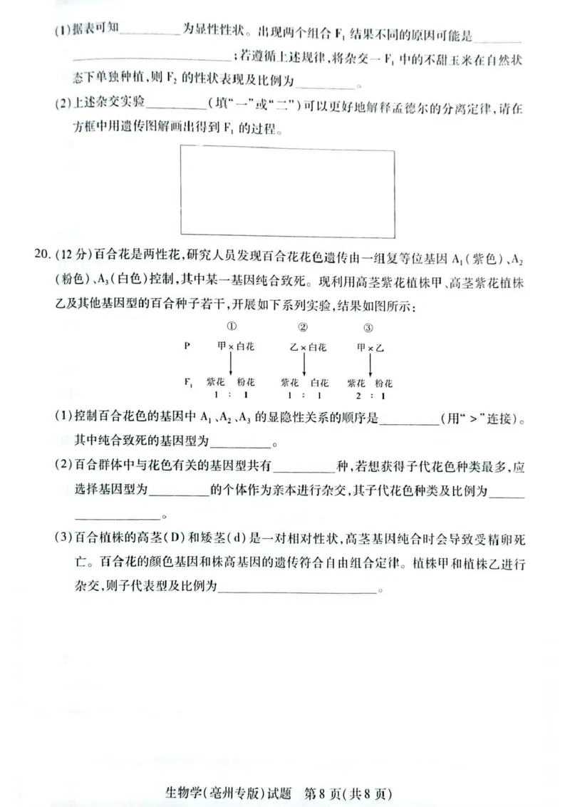 安徽省滁州市2024-2025学年高一下学期3月月考生物试题（扫描版有答案）_2024-2025高一（7-7月题库）_2025年03月试卷_0326安徽省滁州市部分学校2024-2025学年高一下学期3月月考