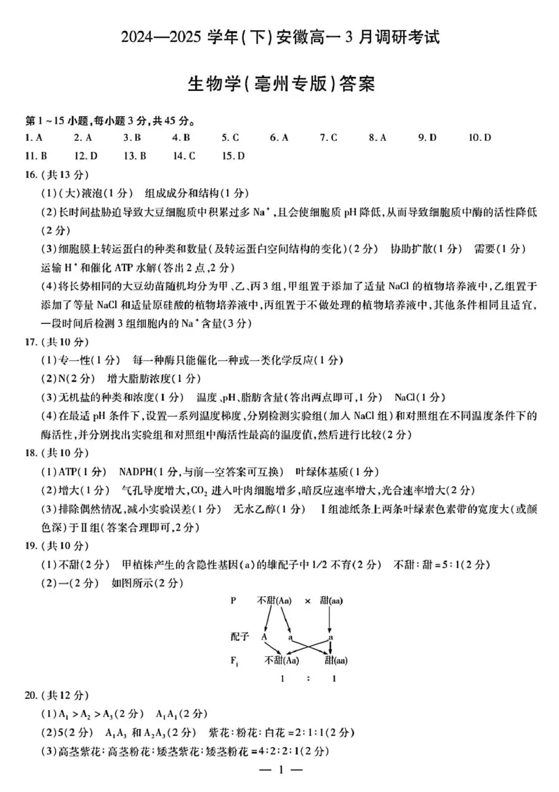 安徽省滁州市2024-2025学年高一下学期3月月考生物试题（扫描版有答案）_2024-2025高一（7-7月题库）_2025年03月试卷_0326安徽省滁州市部分学校2024-2025学年高一下学期3月月考