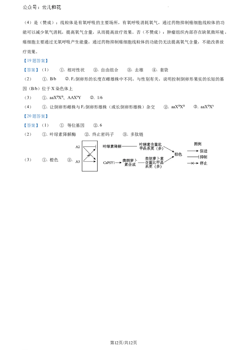 广东省江门市2023-2024学年高一下学期期末考试生物试题_2024-2025高一（7-7月题库）_2024年8月试卷_0820广东省江门市2023-2024学年高一下学期期末考试