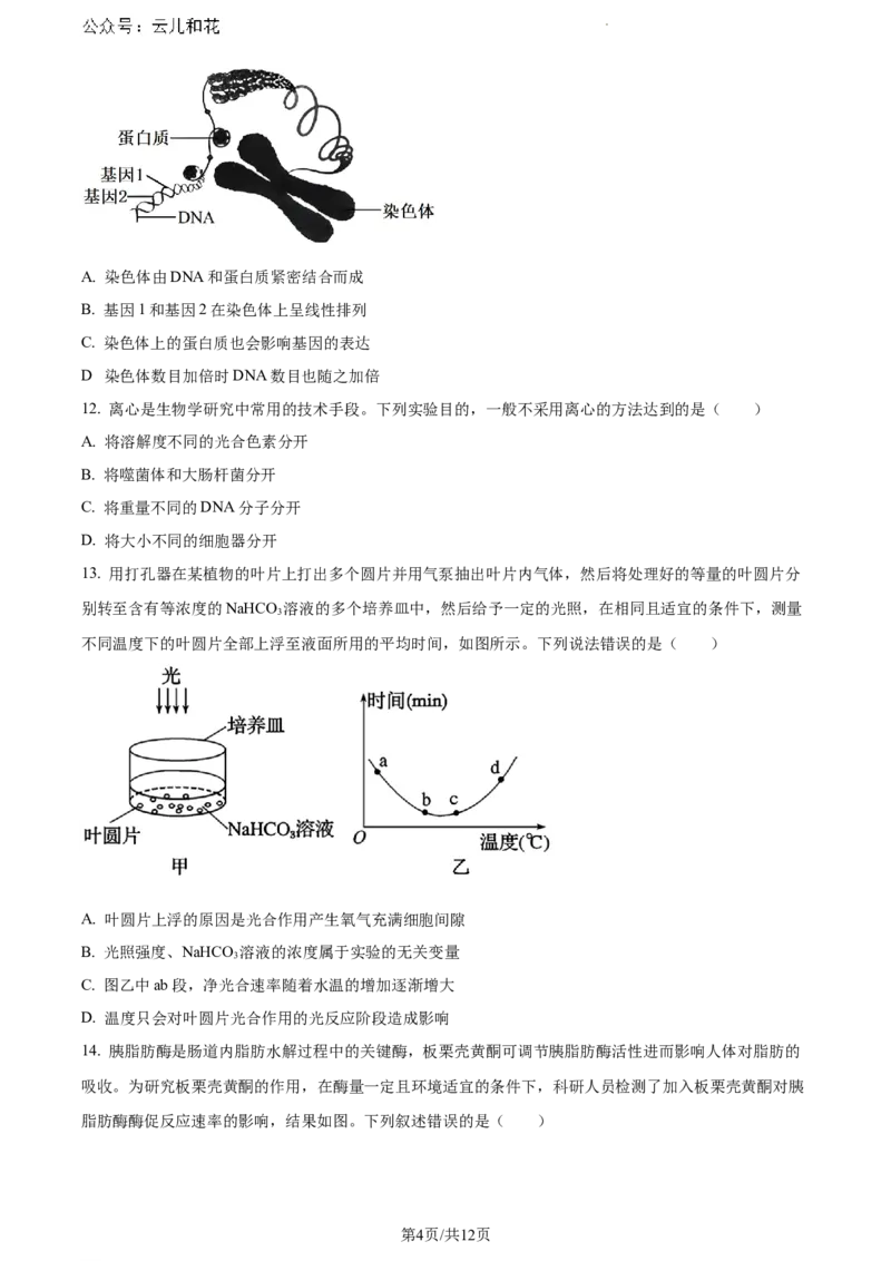 广东省江门市2023-2024学年高一下学期期末考试生物试题_2024-2025高一（7-7月题库）_2024年8月试卷_0820广东省江门市2023-2024学年高一下学期期末考试