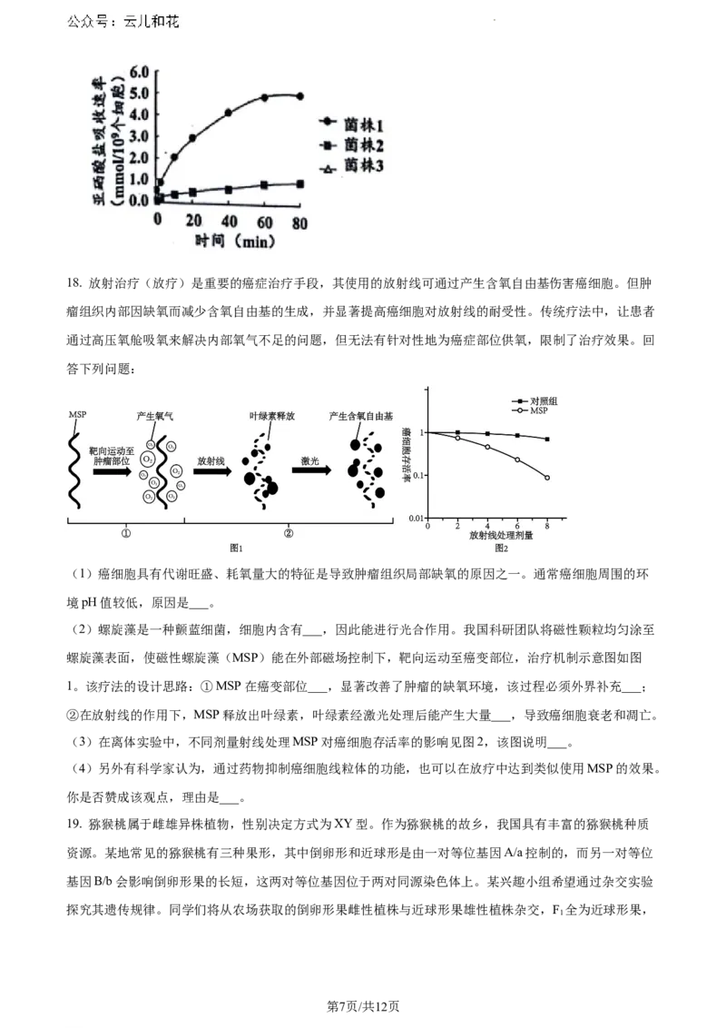 广东省江门市2023-2024学年高一下学期期末考试生物试题_2024-2025高一（7-7月题库）_2024年8月试卷_0820广东省江门市2023-2024学年高一下学期期末考试