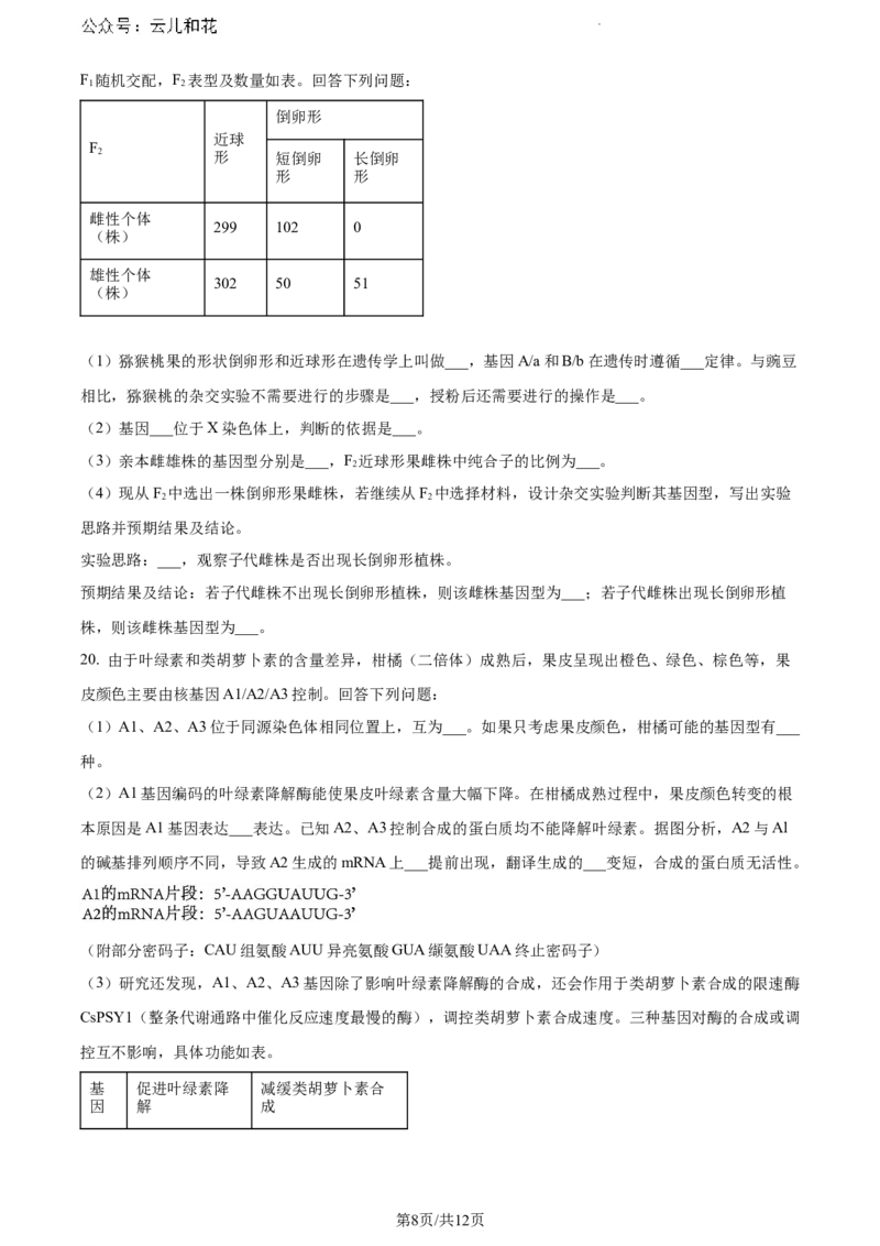 广东省江门市2023-2024学年高一下学期期末考试生物试题_2024-2025高一（7-7月题库）_2024年8月试卷_0820广东省江门市2023-2024学年高一下学期期末考试