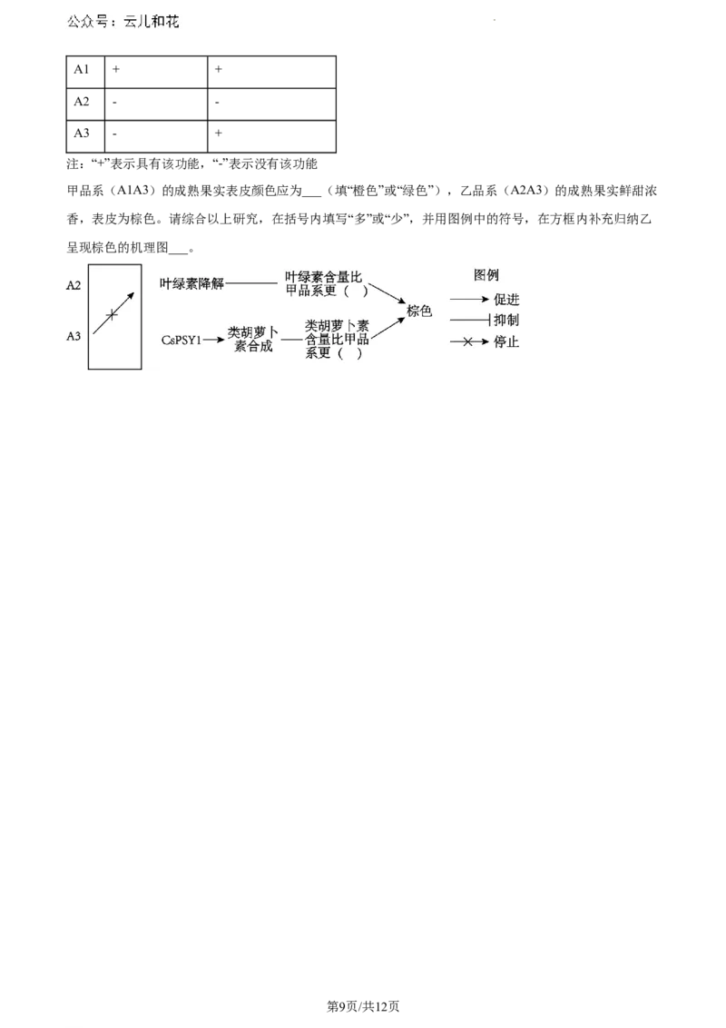 广东省江门市2023-2024学年高一下学期期末考试生物试题_2024-2025高一（7-7月题库）_2024年8月试卷_0820广东省江门市2023-2024学年高一下学期期末考试