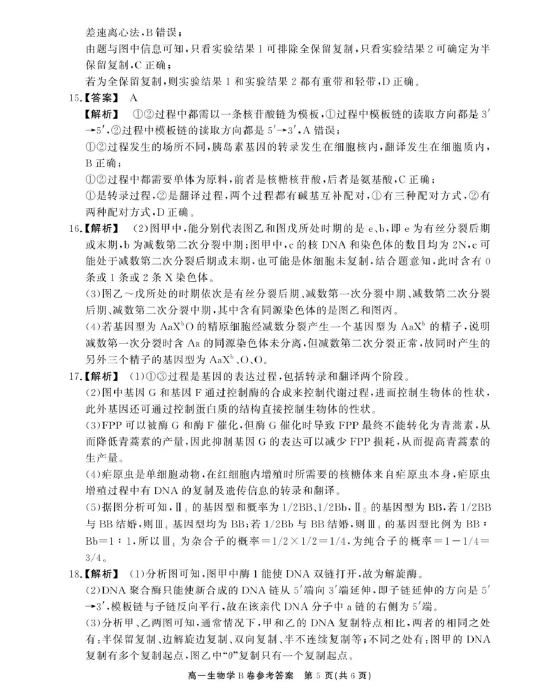 安徽省鼎尖名校2024-2025学年高一下学期5月阶段性检测生物（B）试卷（图片版有解析）_2024-2025高一（7-7月题库）_2025年6月7.10新增_0611安徽省鼎尖名校2024-2025学年高一下学期5月联考试题