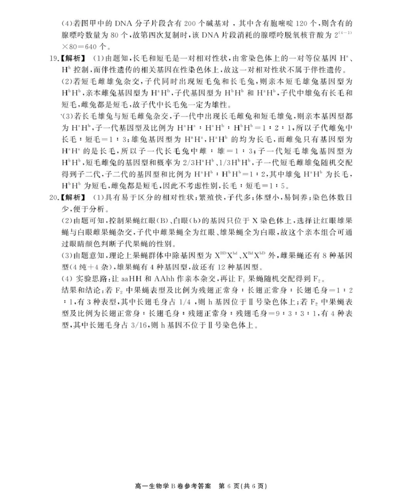 安徽省鼎尖名校2024-2025学年高一下学期5月阶段性检测生物（B）试卷（图片版有解析）_2024-2025高一（7-7月题库）_2025年6月7.10新增_0611安徽省鼎尖名校2024-2025学年高一下学期5月联考试题