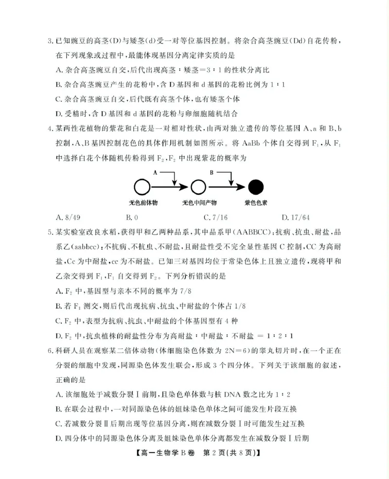 安徽省鼎尖名校2024-2025学年高一下学期5月阶段性检测生物（B）试卷（图片版有解析）_2024-2025高一（7-7月题库）_2025年6月7.10新增_0611安徽省鼎尖名校2024-2025学年高一下学期5月联考试题