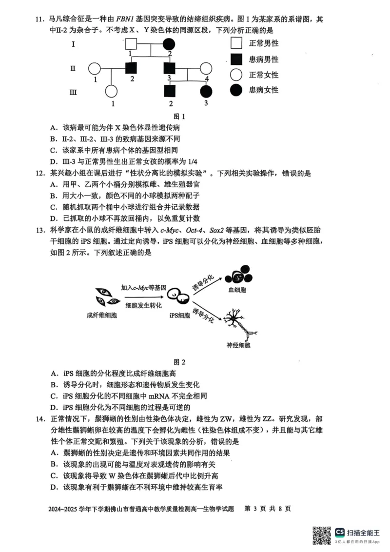 广东省佛山市2024-2025学年高一下学期6月期末生物_2024-2025高一（7-7月题库）_2025年7月_250703广东省佛山市2024-2025学年高一下学期普通高中教学质量检测