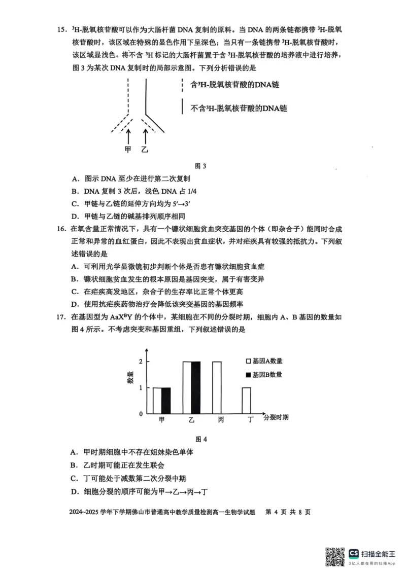 广东省佛山市2024-2025学年高一下学期6月期末生物_2024-2025高一（7-7月题库）_2025年7月_250703广东省佛山市2024-2025学年高一下学期普通高中教学质量检测