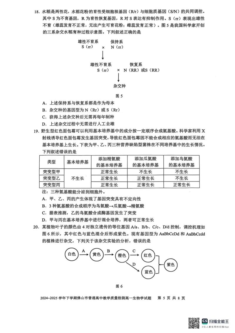 广东省佛山市2024-2025学年高一下学期6月期末生物_2024-2025高一（7-7月题库）_2025年7月_250703广东省佛山市2024-2025学年高一下学期普通高中教学质量检测
