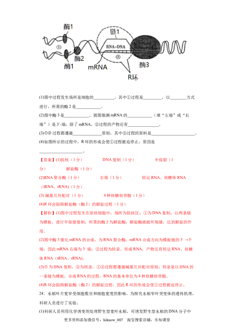期末拔高卷1-冲刺期末高一生物下学期期末拔高冲刺卷（2019人教版）（解析版）_E015高中全科试卷_生物试题_必修2_4.期末试卷