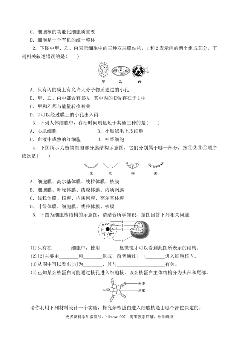 3.3细胞核的结构和功能-2022-2023学年高一生物上学期课后培优分级练（2019人教版必修1）（原卷版）_E015高中全科试卷_生物试题_必修1_2.同步练习_1.同步练习（第一套）