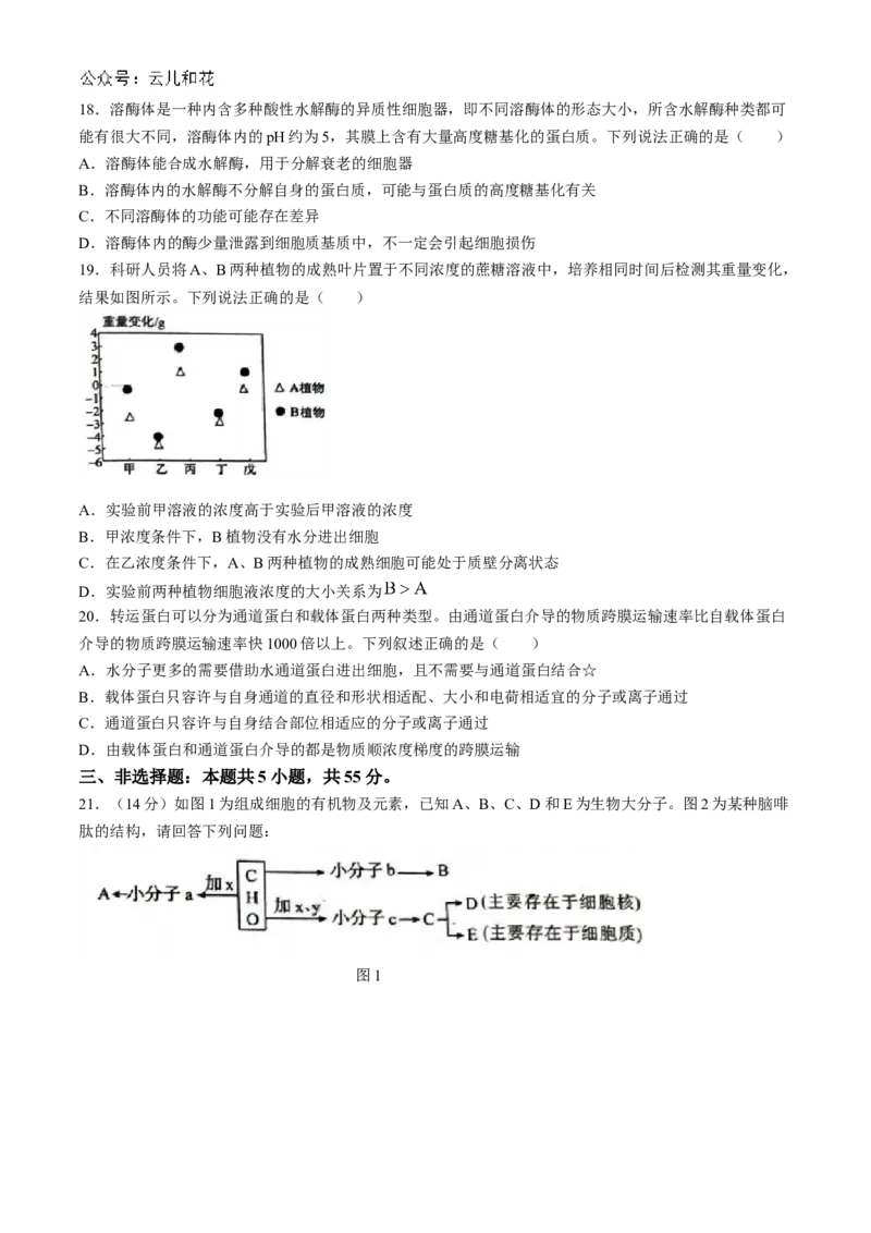 山东省菏泽市2024-2025学年高一上学期11月期中考试生物试题（B卷）(含答案)_2024-2025高一（7-7月题库）_2024年11月试卷_1126山东省菏泽市2024-2025学年高一上学期11月期中考试