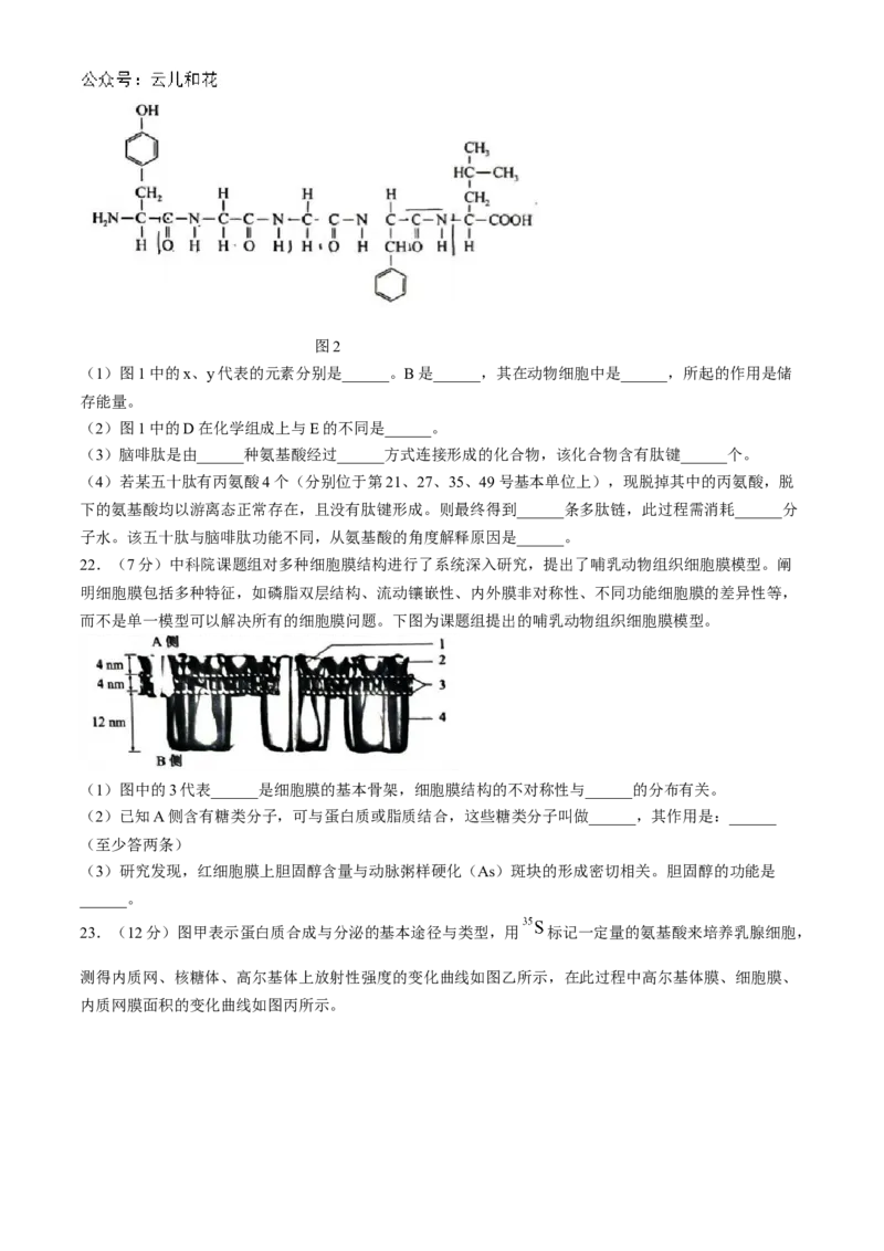 山东省菏泽市2024-2025学年高一上学期11月期中考试生物试题（B卷）(含答案)_2024-2025高一（7-7月题库）_2024年11月试卷_1126山东省菏泽市2024-2025学年高一上学期11月期中考试