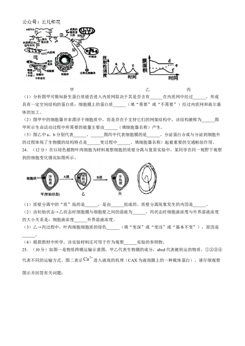 山东省菏泽市2024-2025学年高一上学期11月期中考试生物试题（B卷）(含答案)_2024-2025高一（7-7月题库）_2024年11月试卷_1126山东省菏泽市2024-2025学年高一上学期11月期中考试