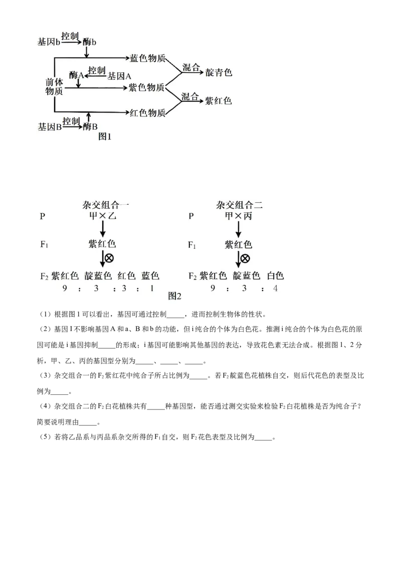 江苏省镇江市丹阳市、南通市2024&mdash;2025学年高一下学期期中考试生物试题（含答案）_2024-2025高一（7-7月题库）_2025年6月7.10新增