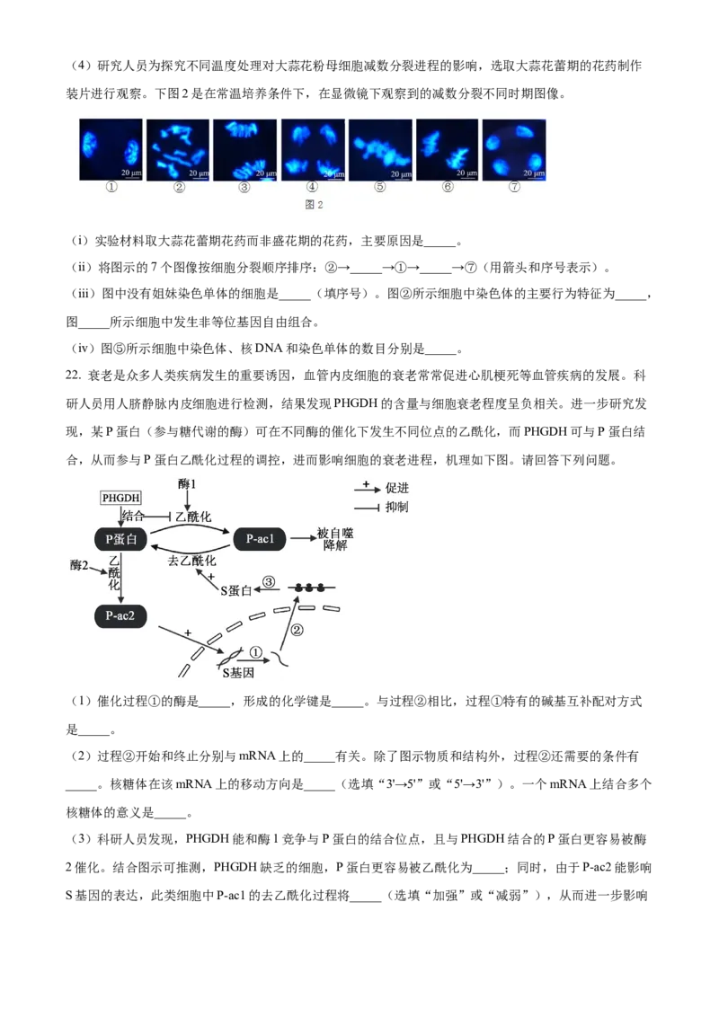 江苏省镇江市丹阳市、南通市2024&mdash;2025学年高一下学期期中考试生物试题（含答案）_2024-2025高一（7-7月题库）_2025年6月7.10新增