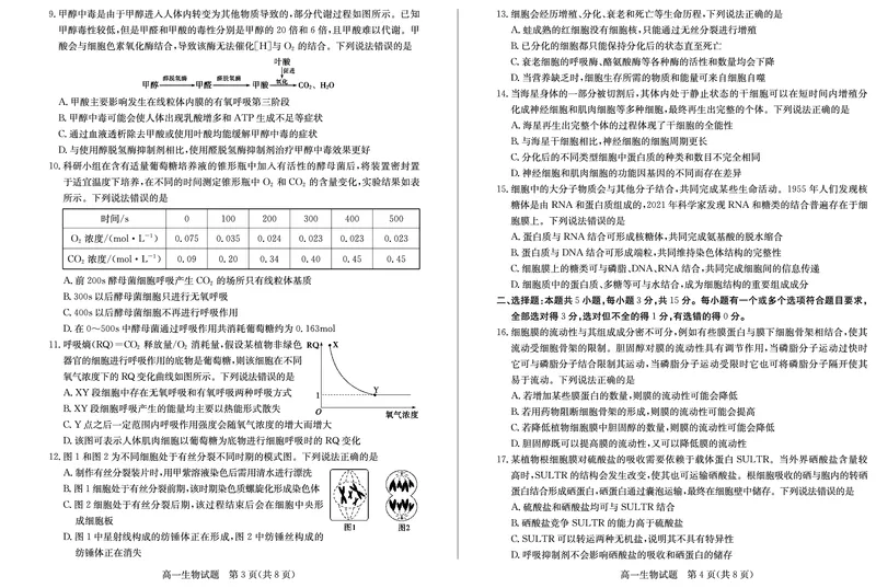 山东省德州市2024-2025学年高一上学期1月联考试题生物PDF版含答案(1)_2024-2025高一（7-7月题库）_2025年02月试卷_0202山东省德州市2024-2025学年高一上学期1月联考试题