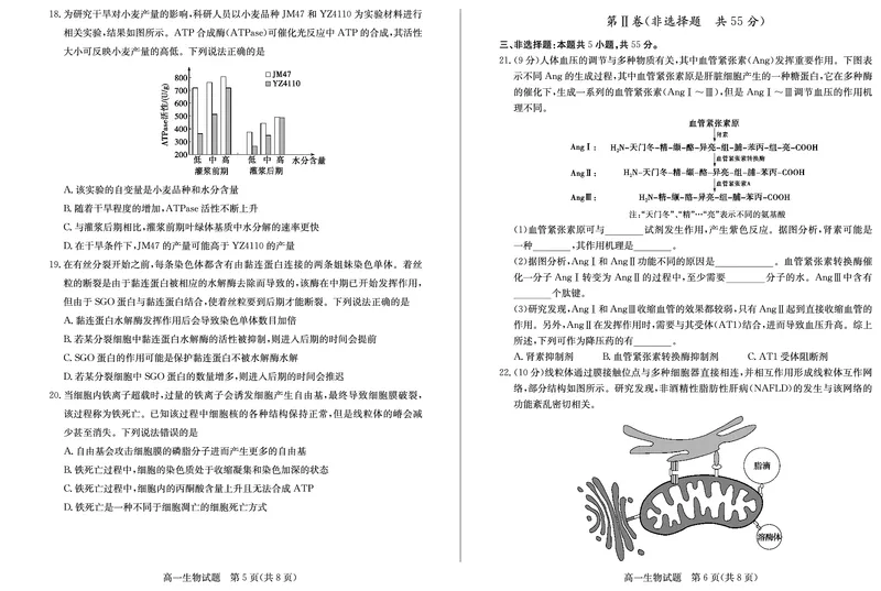 山东省德州市2024-2025学年高一上学期1月联考试题生物PDF版含答案(1)_2024-2025高一（7-7月题库）_2025年02月试卷_0202山东省德州市2024-2025学年高一上学期1月联考试题