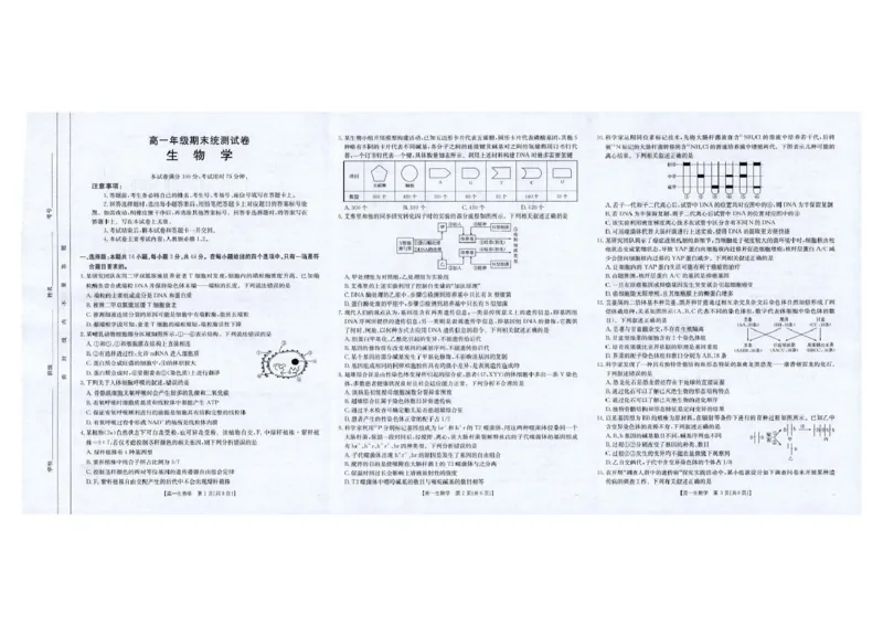 云南省临沧市部分学校2024-2025学年高一下学期期末质量测试生物试题（图片版，无答案）_2024-2025高一（7-7月题库）_2025年7月