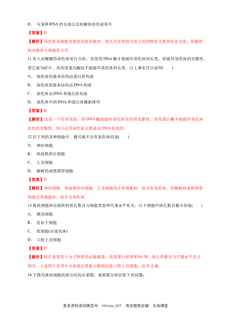 3.3细胞核的结构和功能练习（1）（解析版）_E015高中全科试卷_生物试题_必修1_2.同步练习_2.同步练习（第二套）_3.3细胞核的结构和功能练习（1）