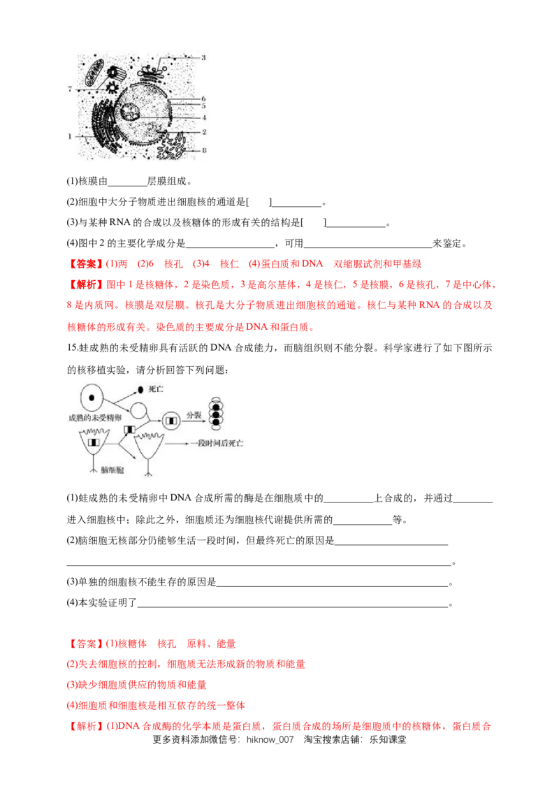 3.3细胞核的结构和功能练习（1）（解析版）_E015高中全科试卷_生物试题_必修1_2.同步练习_2.同步练习（第二套）_3.3细胞核的结构和功能练习（1）
