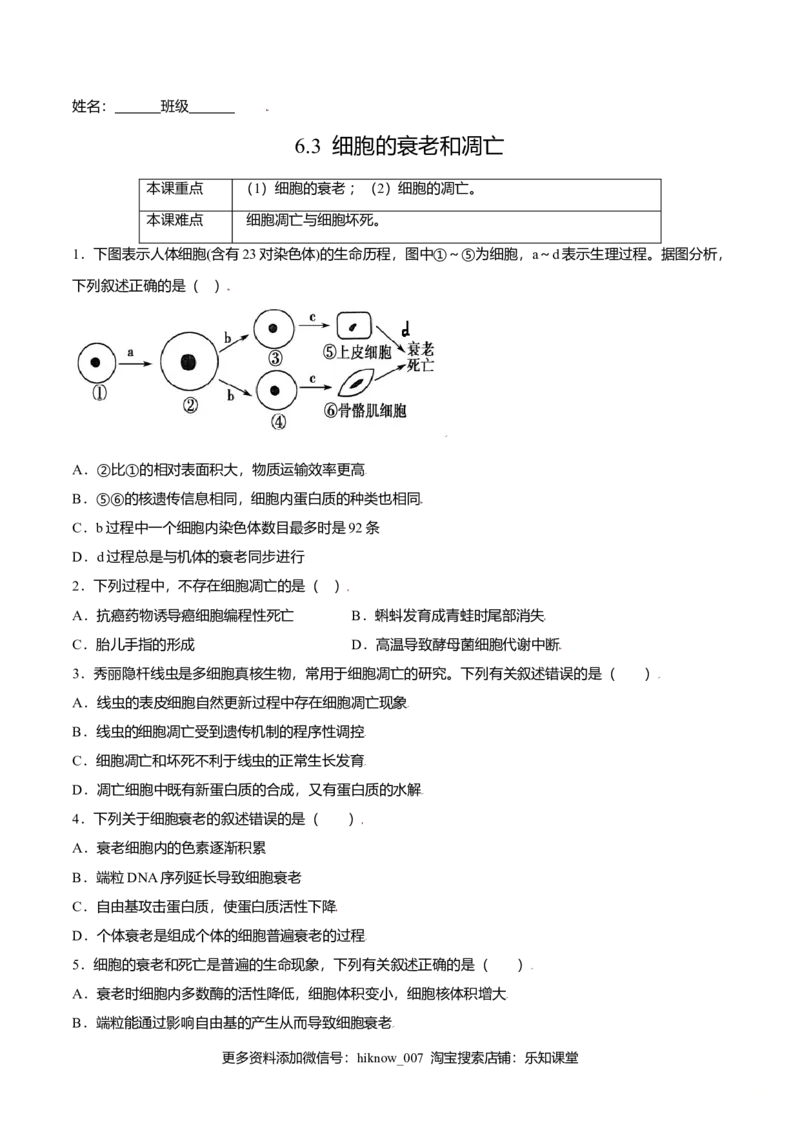 6.3细胞的衰老和凋亡-高一生物课后培优练（人教版2019必修1）（原卷版）_E015高中全科试卷_生物试题_必修1_2.同步练习_3.同步练习（第三套）