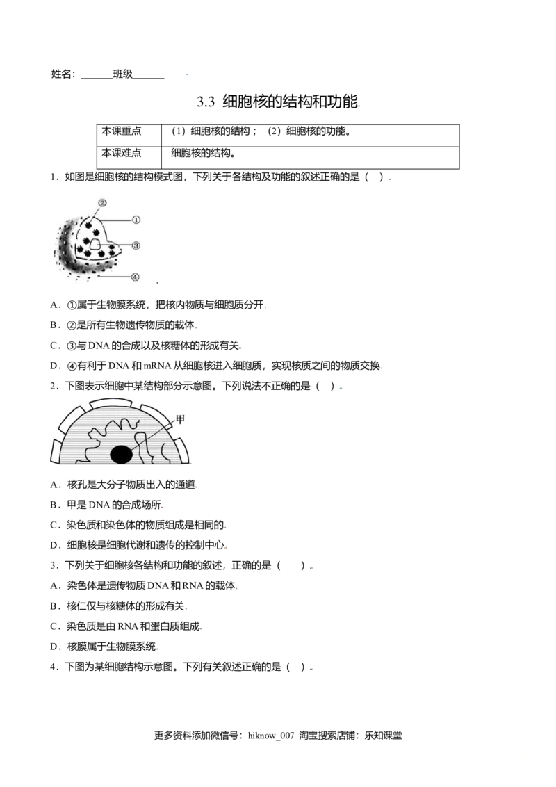 3.3细胞核的结构和功能-高一生物课后培优练（人教版2019必修1）（原卷版）_E015高中全科试卷_生物试题_必修1_2.同步练习_3.同步练习（第三套）