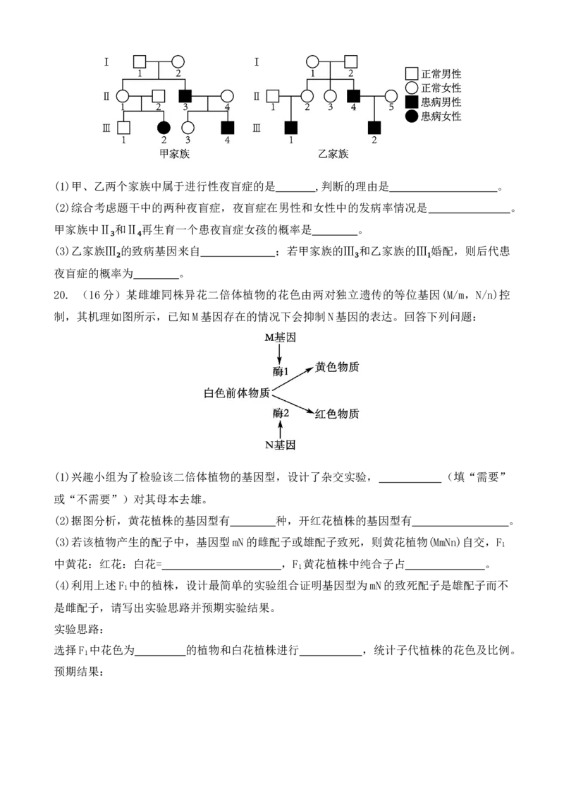 四川省广元市直属普通高中2024-2025学年高一下学期期中教学质量联合检测生物试卷（有答案）_2024-2025高一（7-7月题库）_2025年6月7.10新增