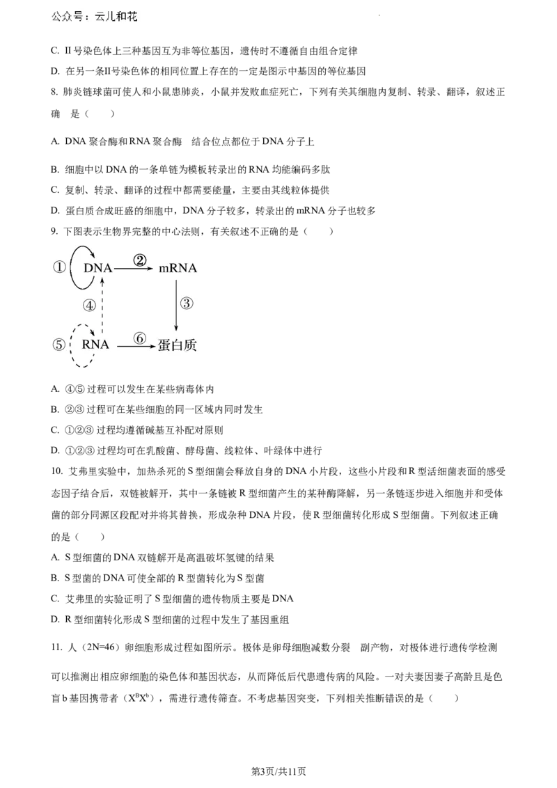 四川省眉山市2023-2024学年高一下学期期末考试生物试题_2024-2025高一（7-7月题库）_2024年8月试卷_0824四川省眉山市2023-2024学年高一下学期期末考试
