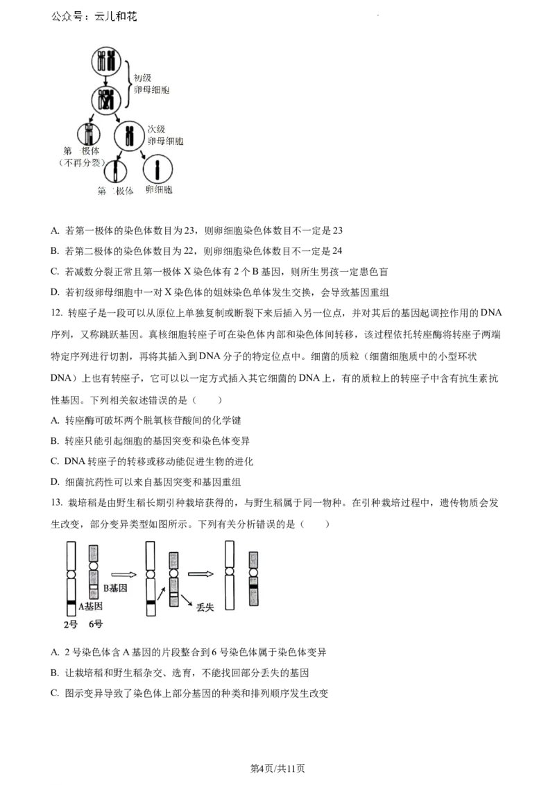 四川省眉山市2023-2024学年高一下学期期末考试生物试题_2024-2025高一（7-7月题库）_2024年8月试卷_0824四川省眉山市2023-2024学年高一下学期期末考试