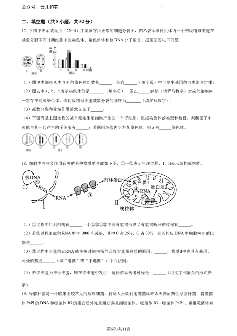 四川省眉山市2023-2024学年高一下学期期末考试生物试题_2024-2025高一（7-7月题库）_2024年8月试卷_0824四川省眉山市2023-2024学年高一下学期期末考试