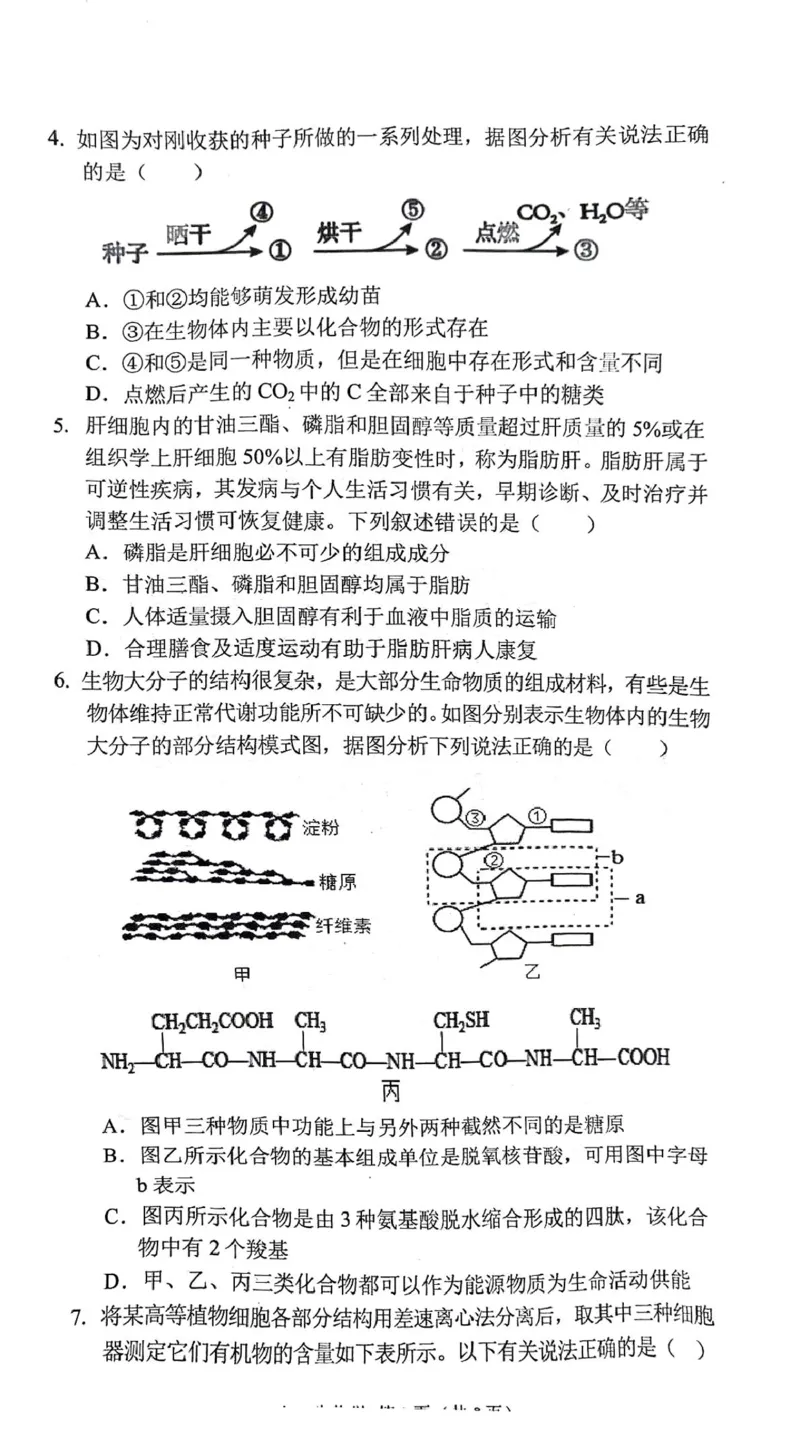 安徽省庐巢联盟2024-2025学年高一上学期第二次月考试题生物PDF版含答案_2024-2025高一（7-7月题库）_2025年01月试卷_0109安徽省庐巢联盟2024-2025学年高一上学期第二次月考试题