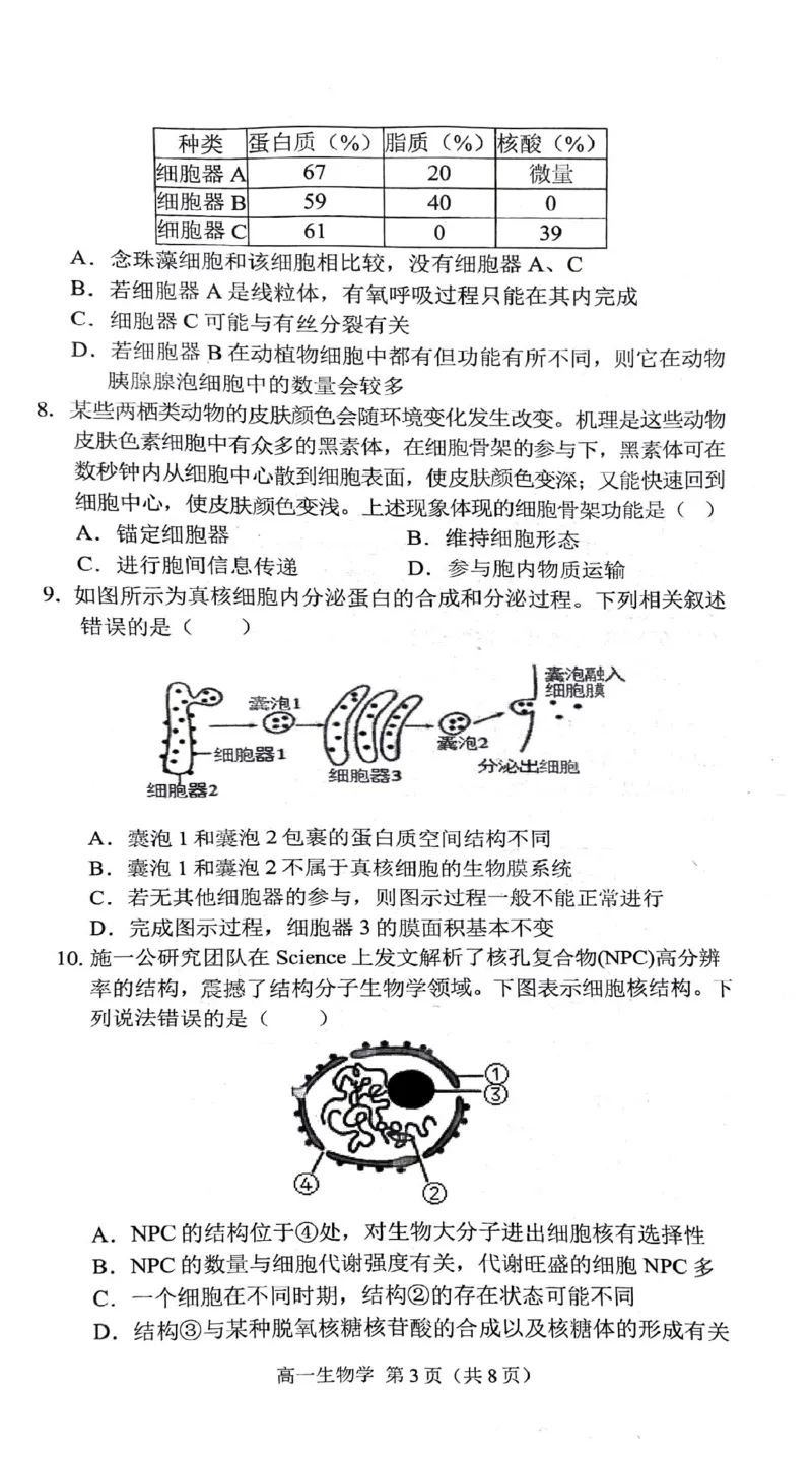 安徽省庐巢联盟2024-2025学年高一上学期第二次月考试题生物PDF版含答案_2024-2025高一（7-7月题库）_2025年01月试卷_0109安徽省庐巢联盟2024-2025学年高一上学期第二次月考试题