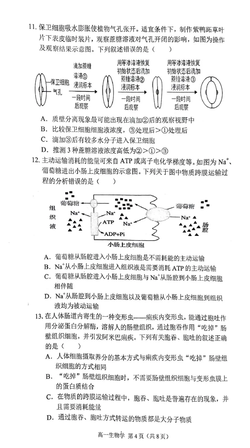 安徽省庐巢联盟2024-2025学年高一上学期第二次月考试题生物PDF版含答案_2024-2025高一（7-7月题库）_2025年01月试卷_0109安徽省庐巢联盟2024-2025学年高一上学期第二次月考试题